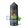 Simple Berry Ice by Amazonia Black Edition | 100ml Shortfill