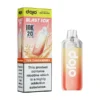Ten Tangerines by Dojo Blast 10K Pod Replacement Disposable Vape | 10'000 Puff